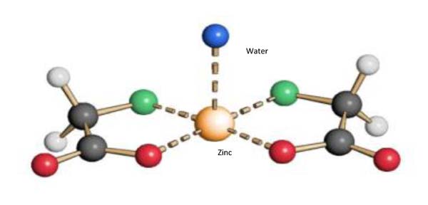 Wilchem Signature ZMC 431 atomic structure